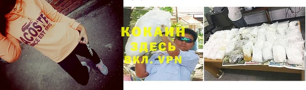 винт Осташков