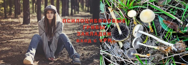 трава Абдулино