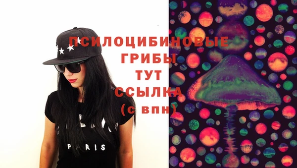 винт Осташков