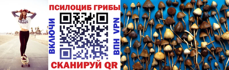 Псилоцибиновые грибы ЛСД  гидра маркетплейс  Волоколамск 